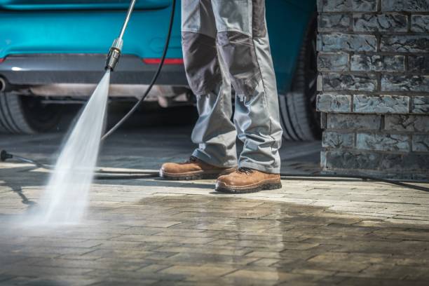  Leilani Estates, HI Pressure Washing Pros